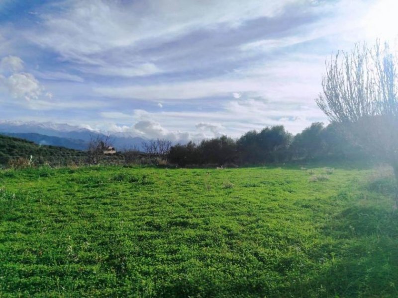 Stalos Kreta, Stalos: Grundstück mit Meerblick zu verkaufen Grundstück kaufen